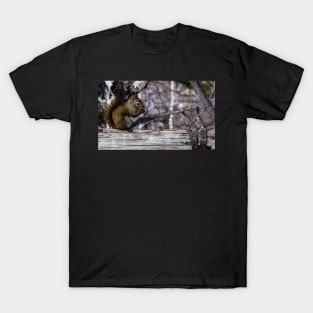 Red Squirrel on a Fence. T-Shirt